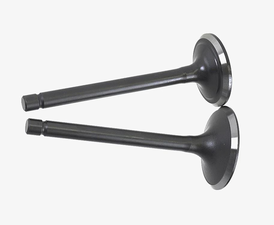 Комплект клапанов бензинового двигателя G420F
