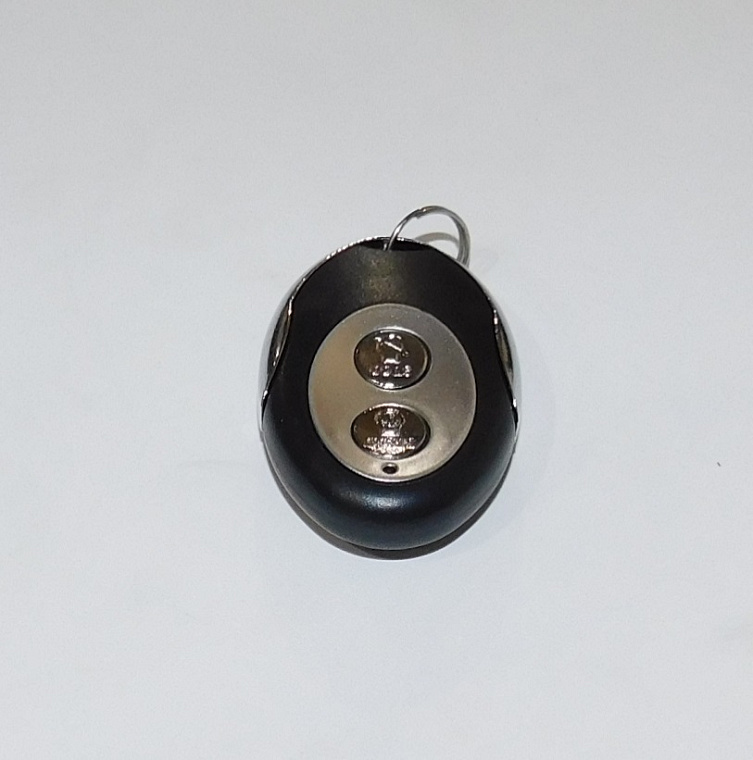 Пульт(брелок) дистанционного запуска SGG 4000ESi-5000ESi Km / Separate remote control