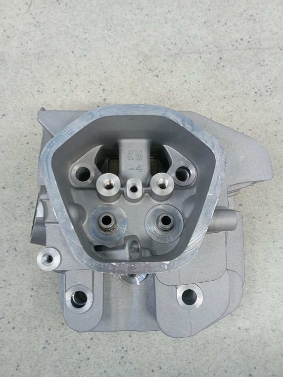 Головка блока цилиндра SGG 5000(..)-6000(..),KM190FP / Cylinder head (03.02.12140-19003-00)